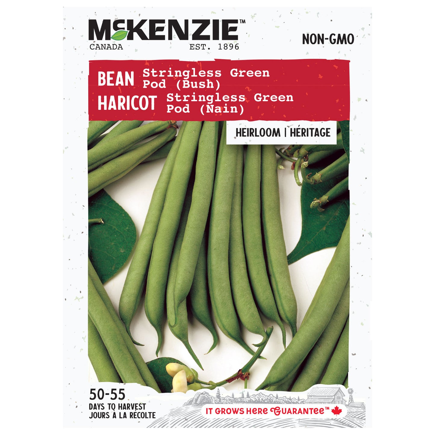 Mckenzie brand seed packet for stringless green beans with green beans and leaves on a white background.