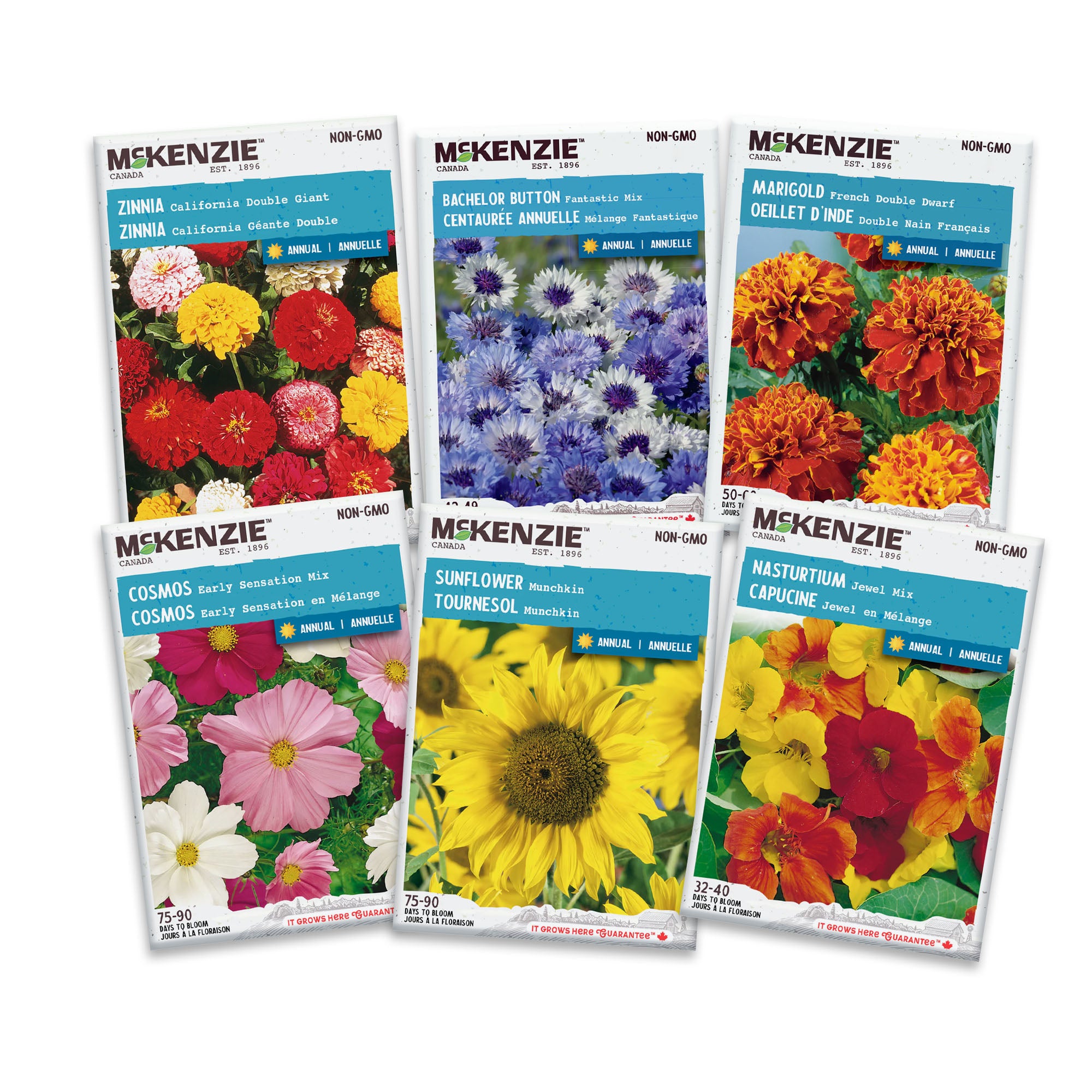 Six McKenzie seed packets with images of various flowers on a white background