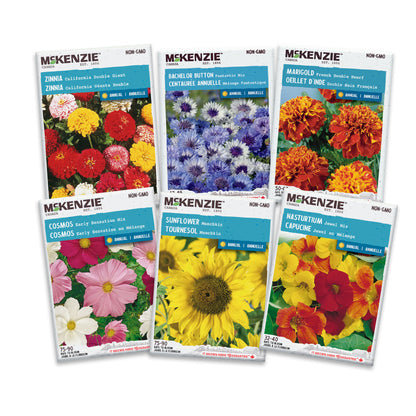 individual flower seed packets Easy-to-Grow Flower Seed Variety Pack