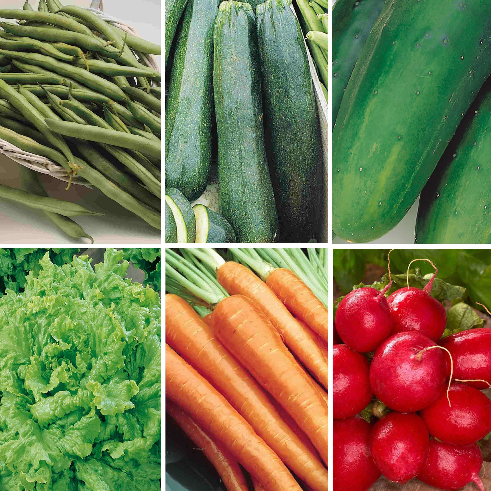 Collage of various green vegetables including beans, zucchinis, cucumbers, carrots, and radishes.