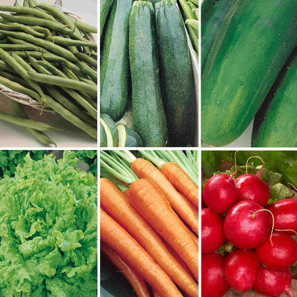 Collage of various green vegetables including beans, zucchinis, cucumbers, carrots, and radishes.