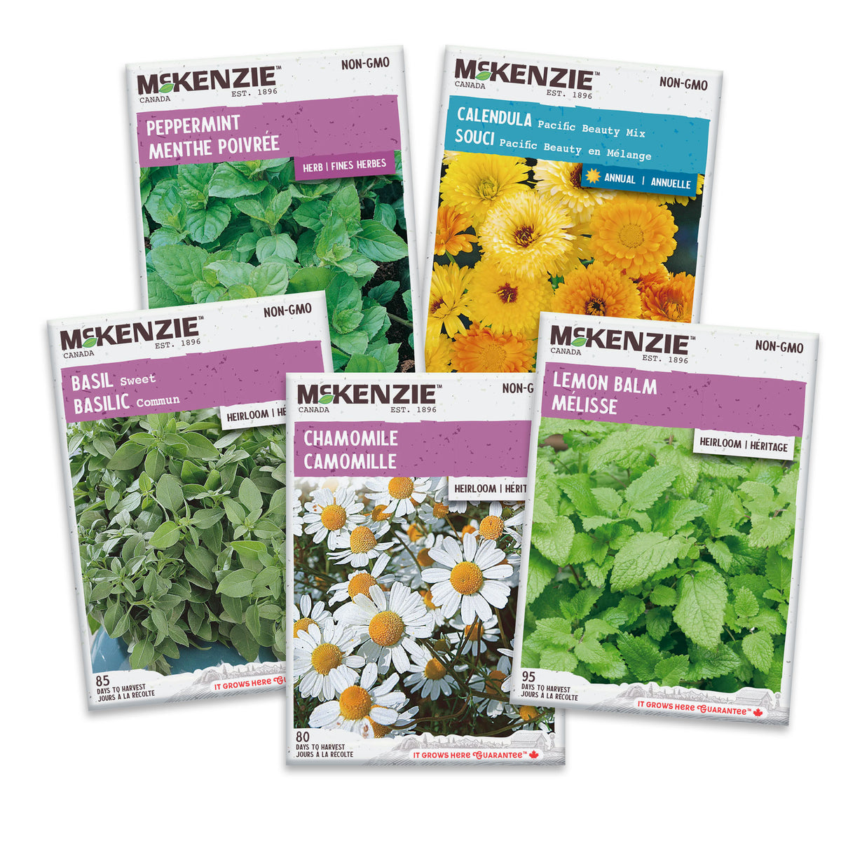 Collection of McKenzie brand herb and flower seed packets on a white background