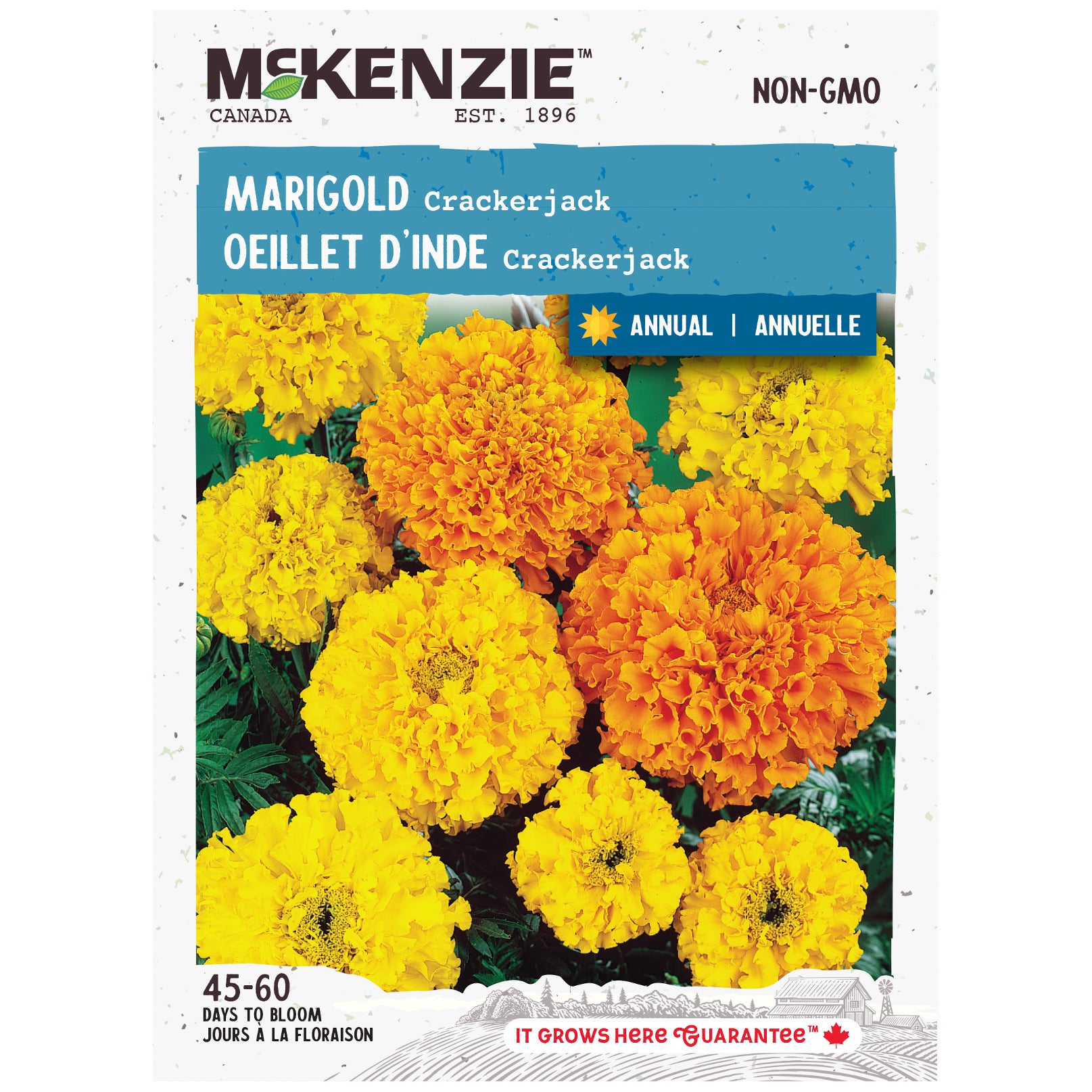 McKenzie Marigold Crackerjack seed packet with images of marigolds on a white background