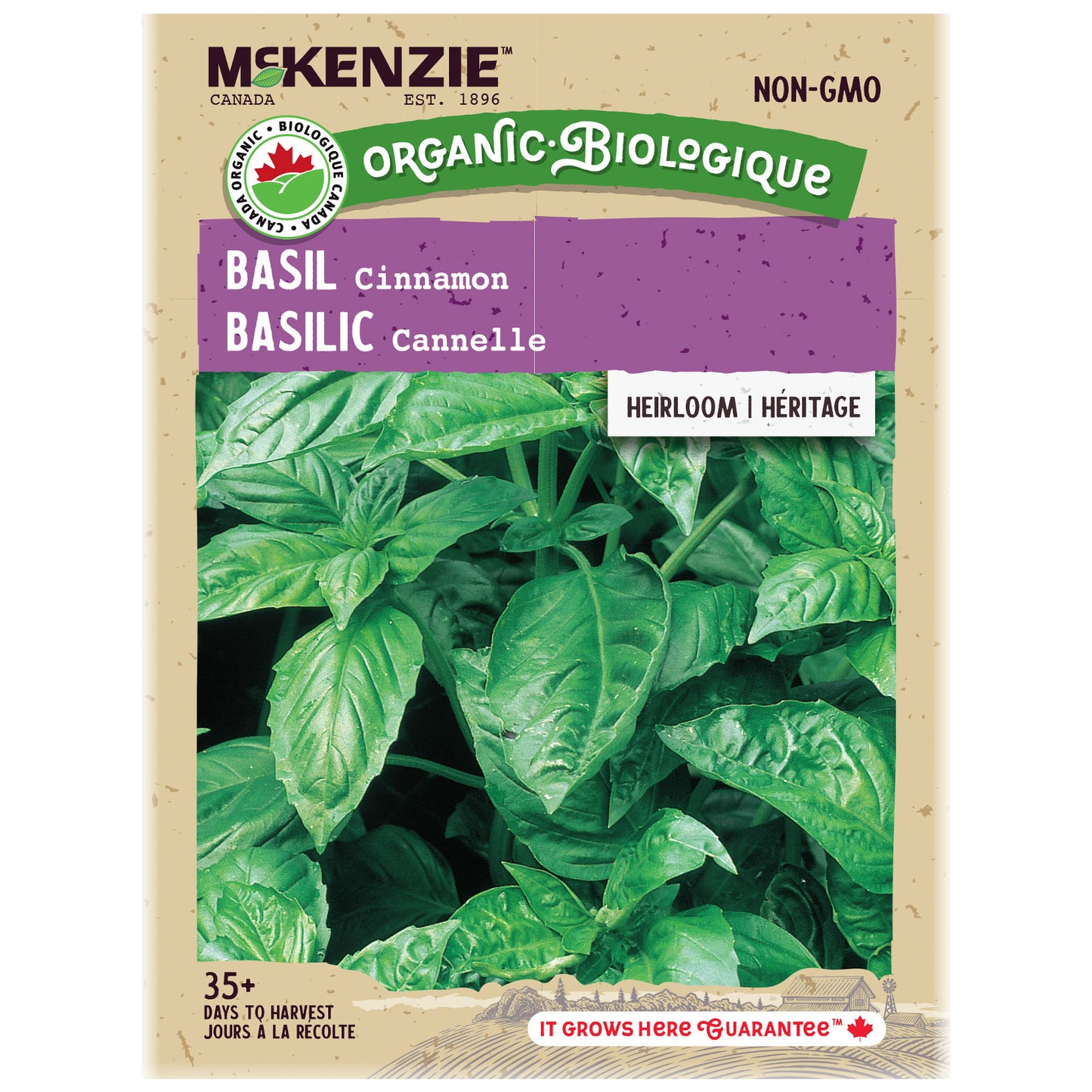 Basil seed packet with green leaves on a beige background