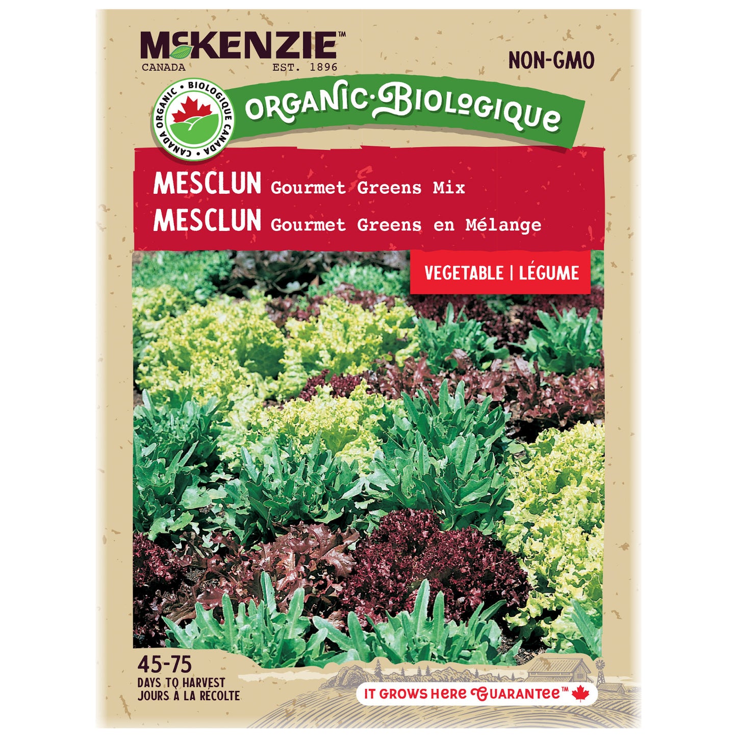 Mesclun, Gourmet Greens Mix Organic Seeds