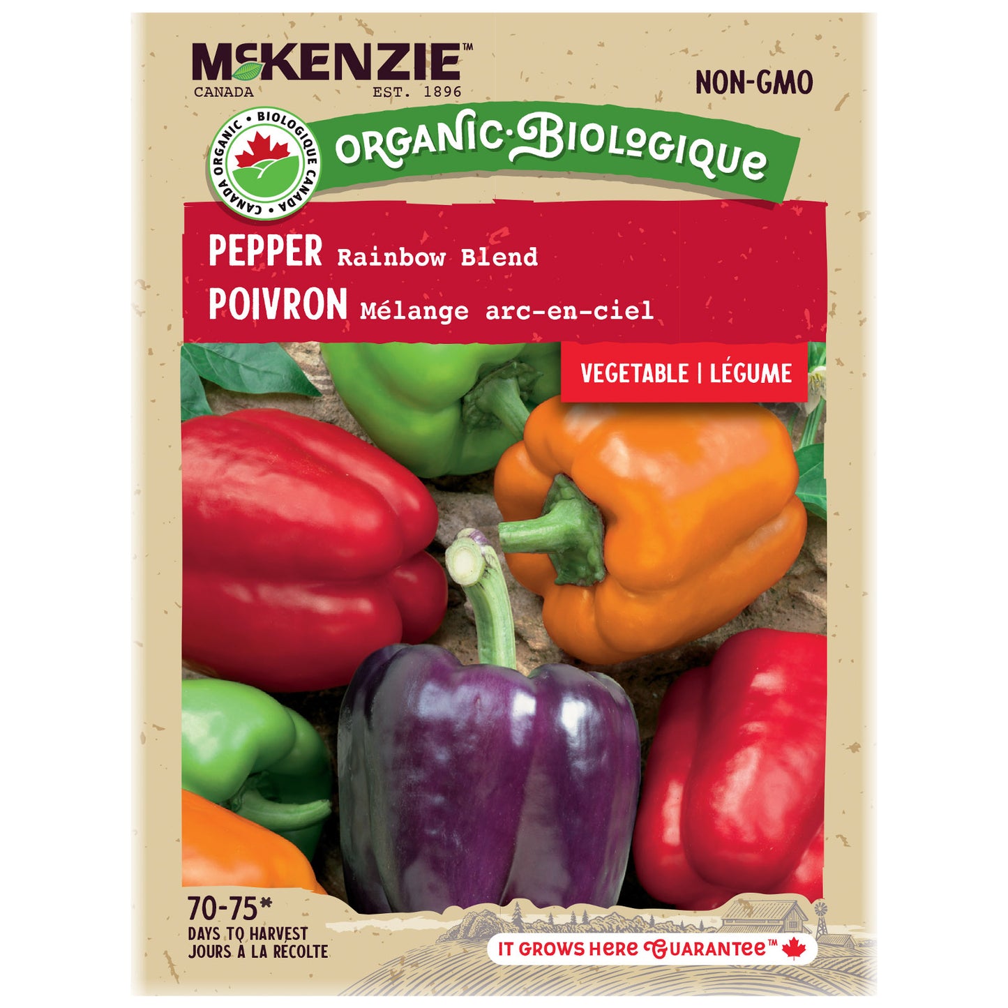 Pepper, Rainbow Blend Organic Seeds