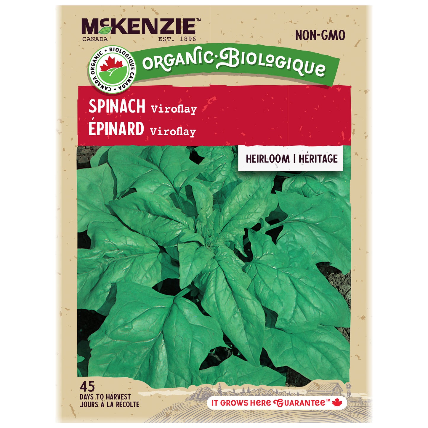 Spinach, Viroflay Organic Seeds