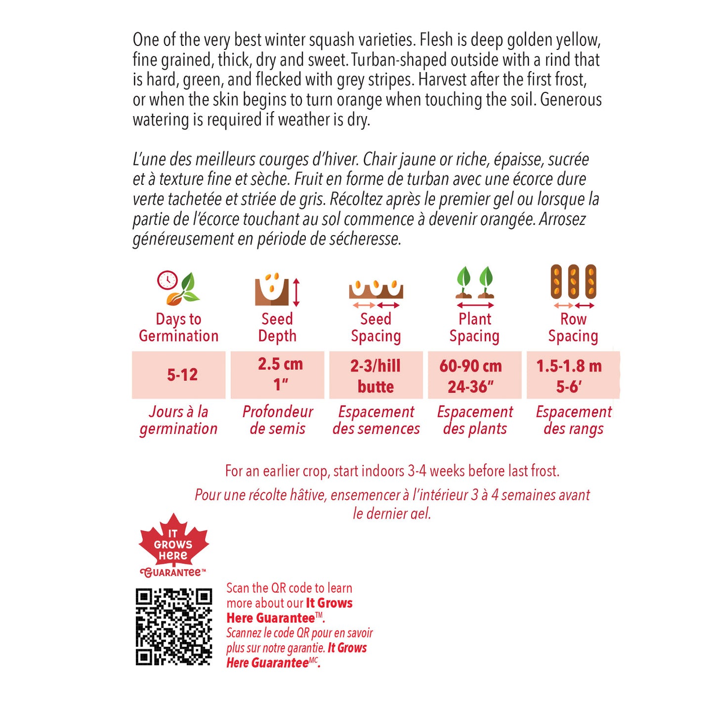 Squash, Buttercup Organic Seeds