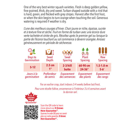 Squash, Buttercup Organic Seeds