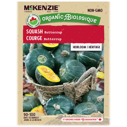 Squash, Buttercup Organic Seeds
