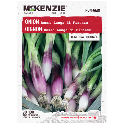 Onion, Rossa Lunga di Firenze Seeds