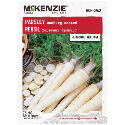 Parsley, Hamburg Rooted Seeds