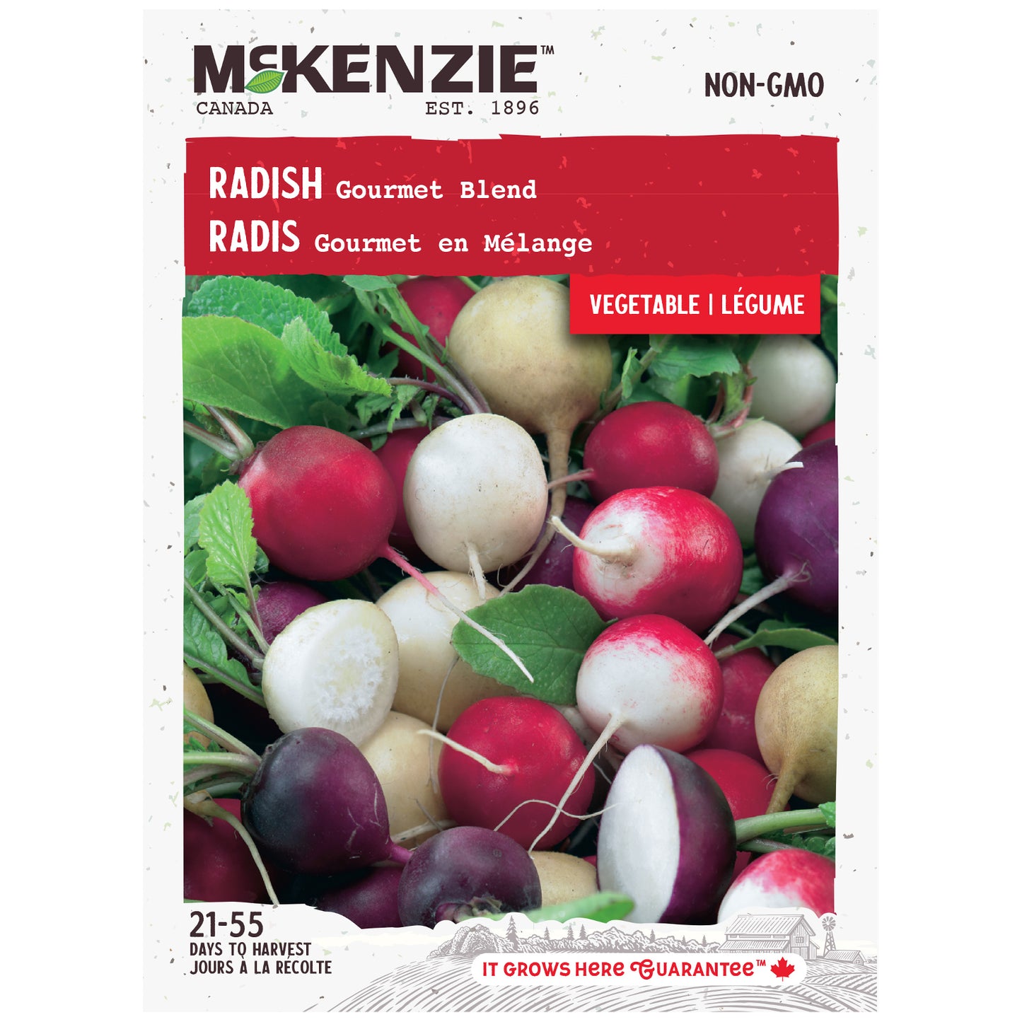 Radish, Gourmet Blend Seeds