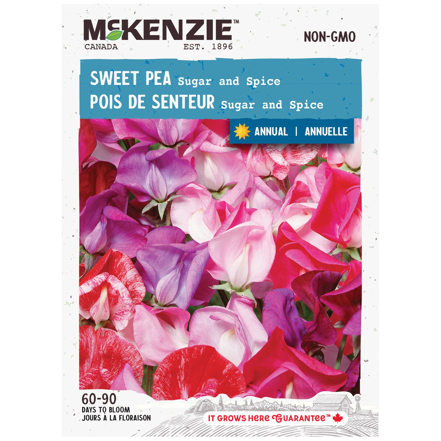 Sweet Pea, Sugar and Spice Seeds