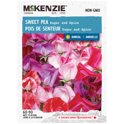 Sweet Pea, Sugar and Spice Seeds