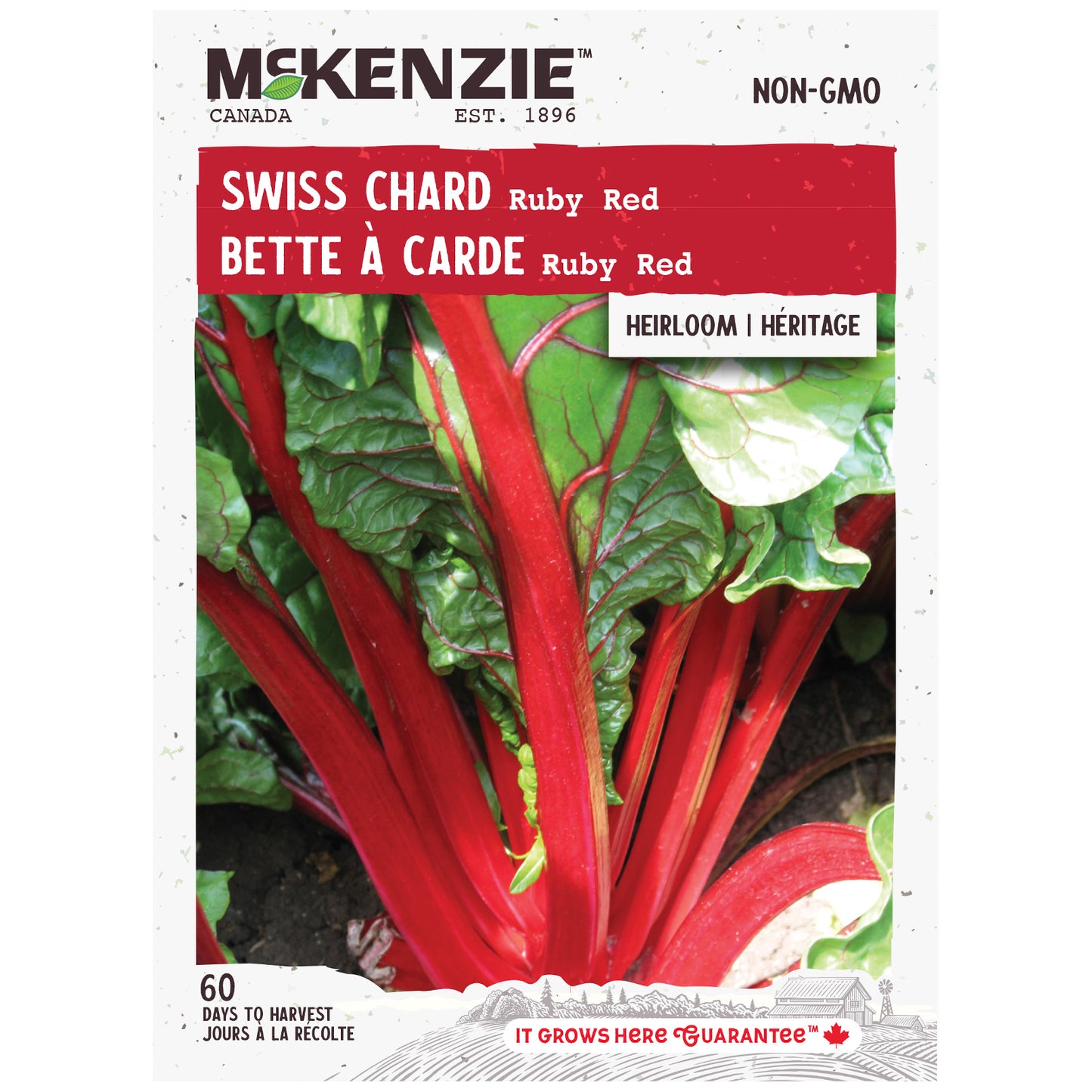 Swiss Chard, Ruby Red Seeds