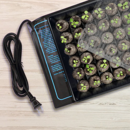 Seedling tray with young plants and a black heat mat on a light wooden surface