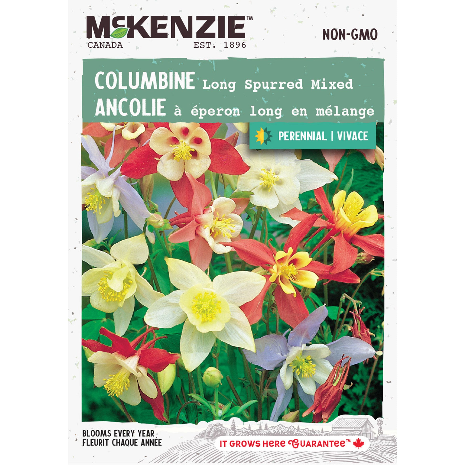 columbine flower seeds for sale Buy Perennial Long Spurred Columbine Flower Seed Online