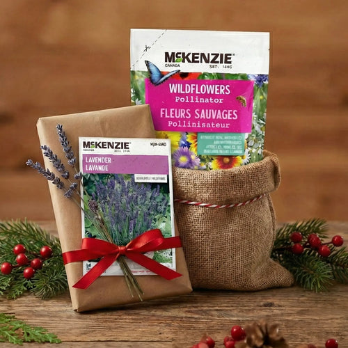 Two packages of McKenzie seeds, one for wildflowers and one for lavender, on a wooden surface with a brown background.