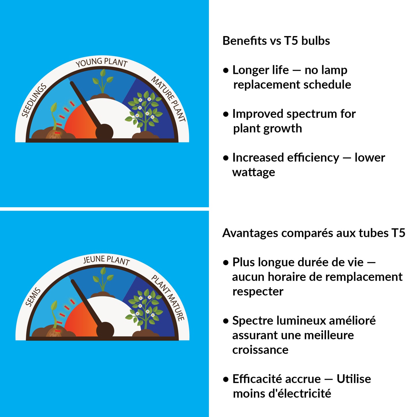 Comparison chart of benefits between T5 bulbs and another type of bulb for plant growth, with illustrations and text on a blue and white background.