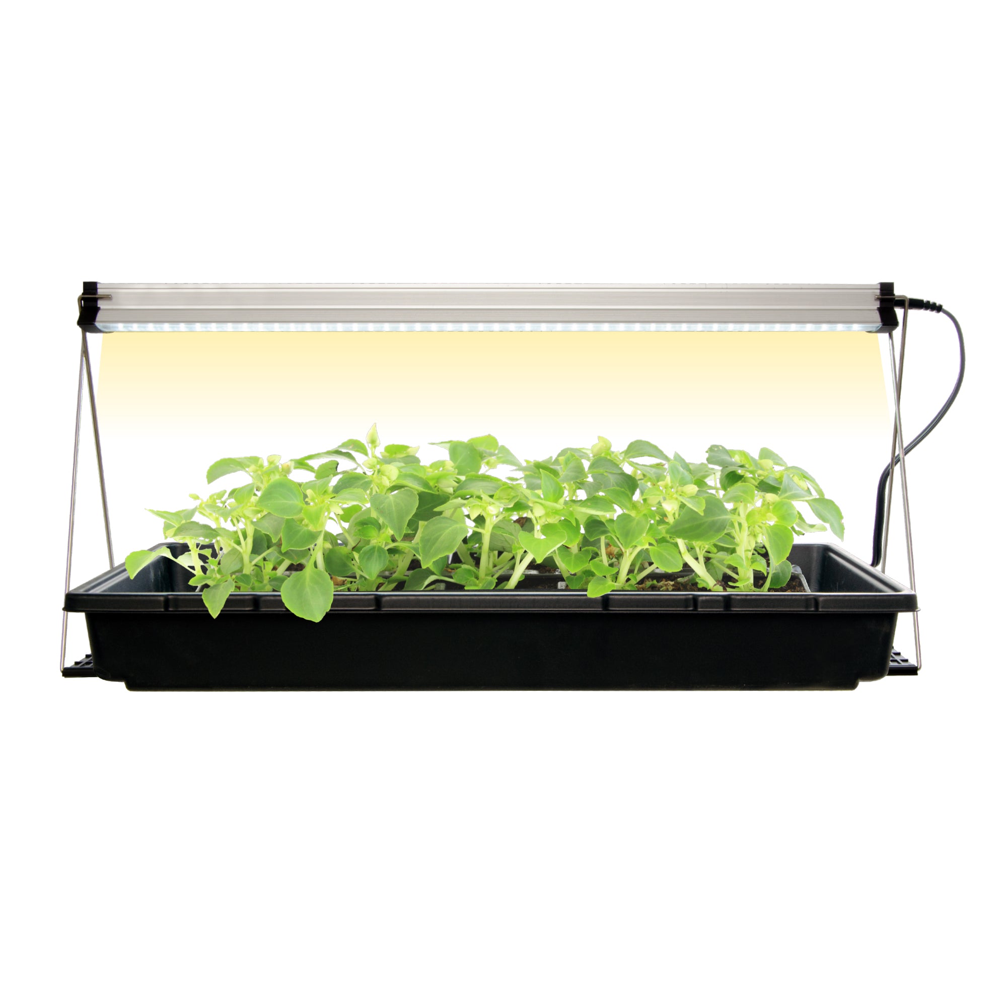 Jiffy Indoor Grow Light Fixture with LED Bulb | McKenzie Seeds