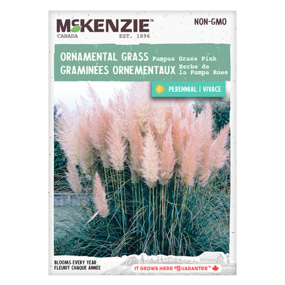 Package of McKenzie Ornamental Grass with pink plumes on a white background