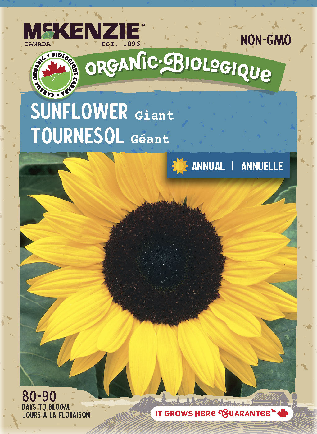 Organic Sunflower Seeds, Giant