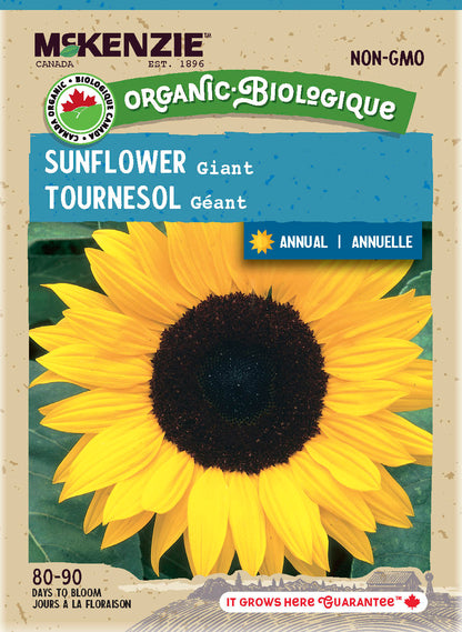 Organic Sunflower Seeds, Giant