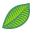 McKenzie Seeds logo