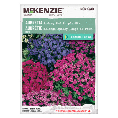 Aubretia Seeds, Audrey Red Purple Mix