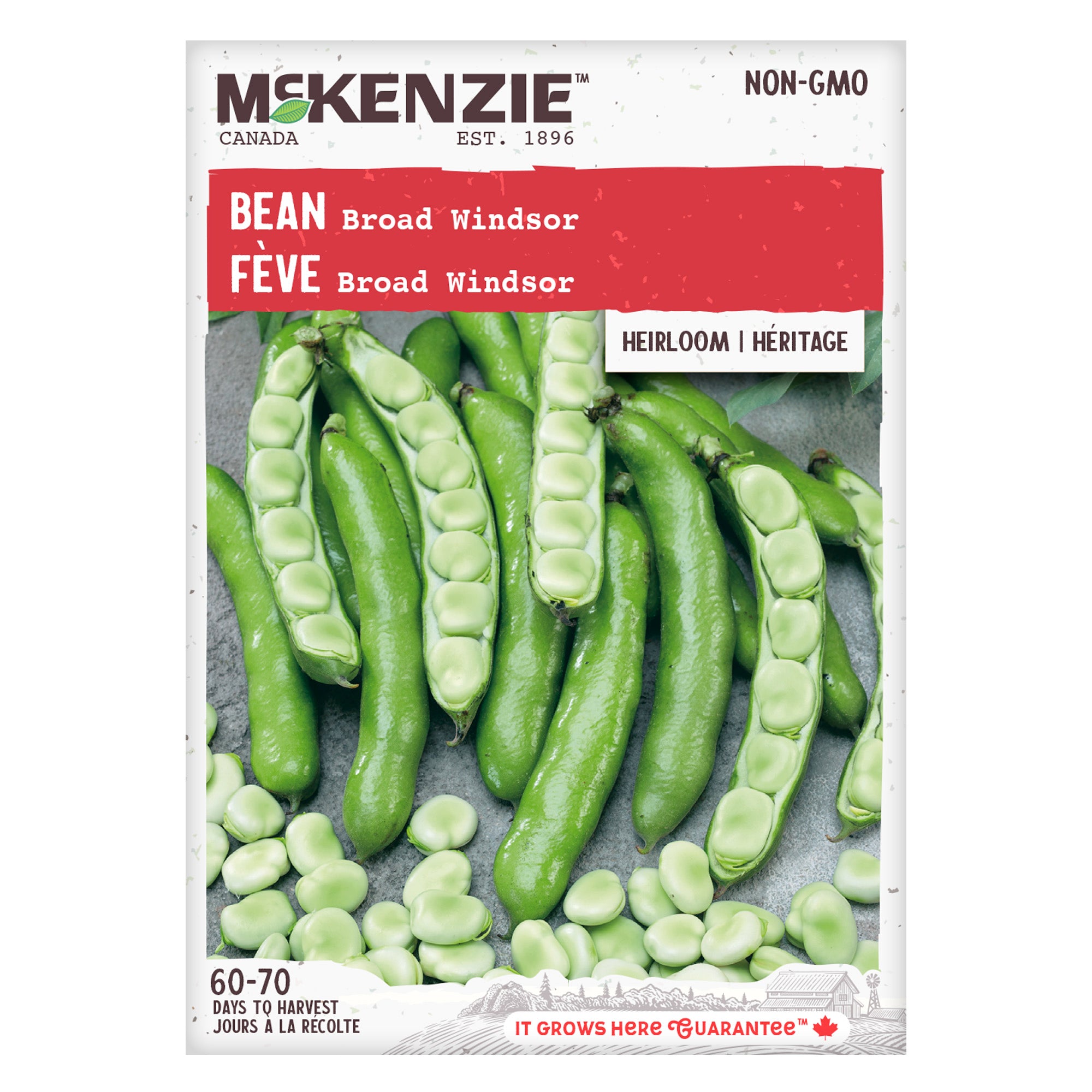 Purchase Broad Windsor Bush Bean Seeds Online | McKenzie Seeds