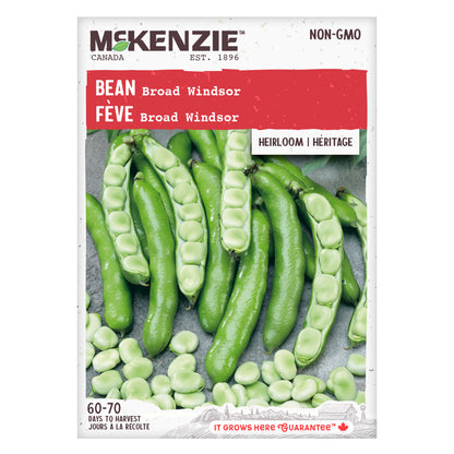 Bean Seeds, Broad Windsor Bush