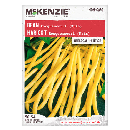 Bean Seeds, Rocquencourt Bush