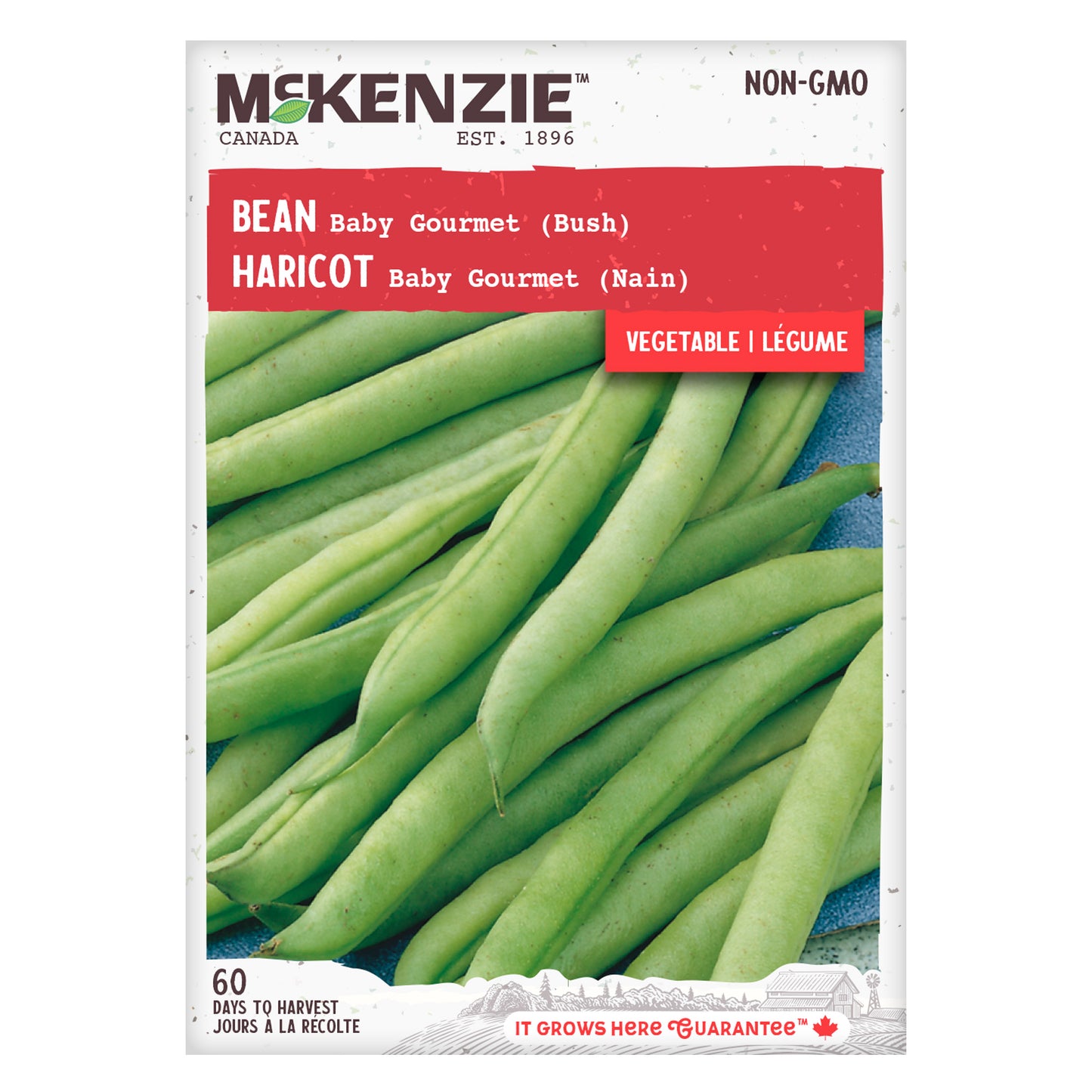 Bean Seeds, Baby Gourmet Bush