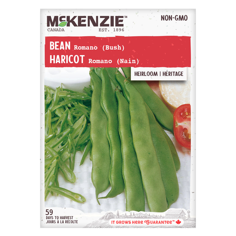 Bean Seeds, Romano Bush McKenzie Seeds