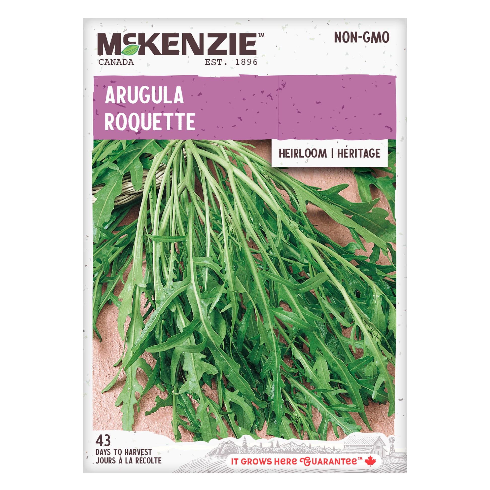 arugula plant seeds Buy Arugula Seed Online