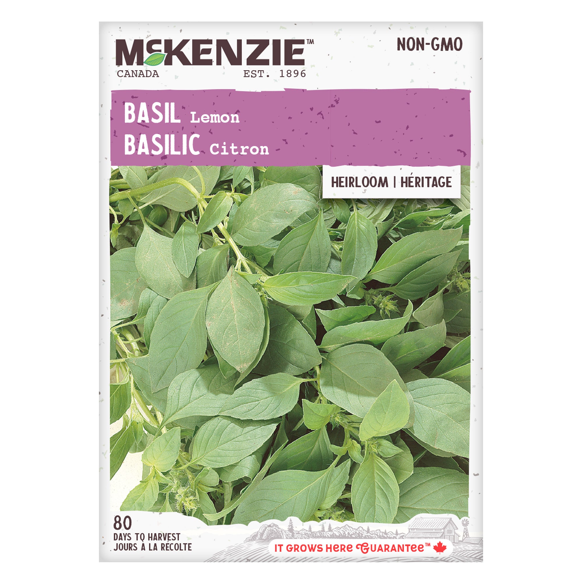 Buy Lemon Basil Herb Seed Online McKenzie Seeds