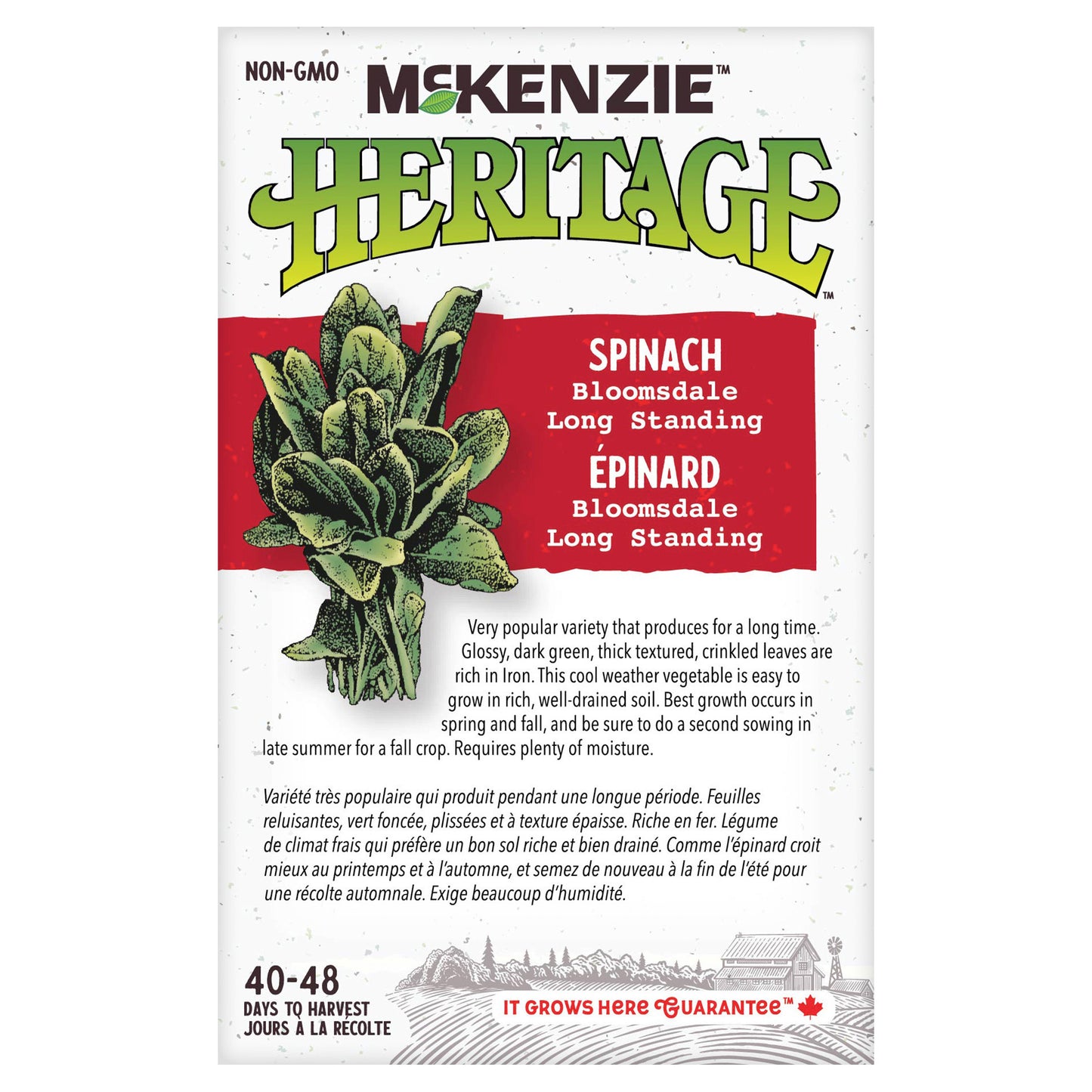 Spinach Seeds, Long Standing Bloomsdale Bulk Pack