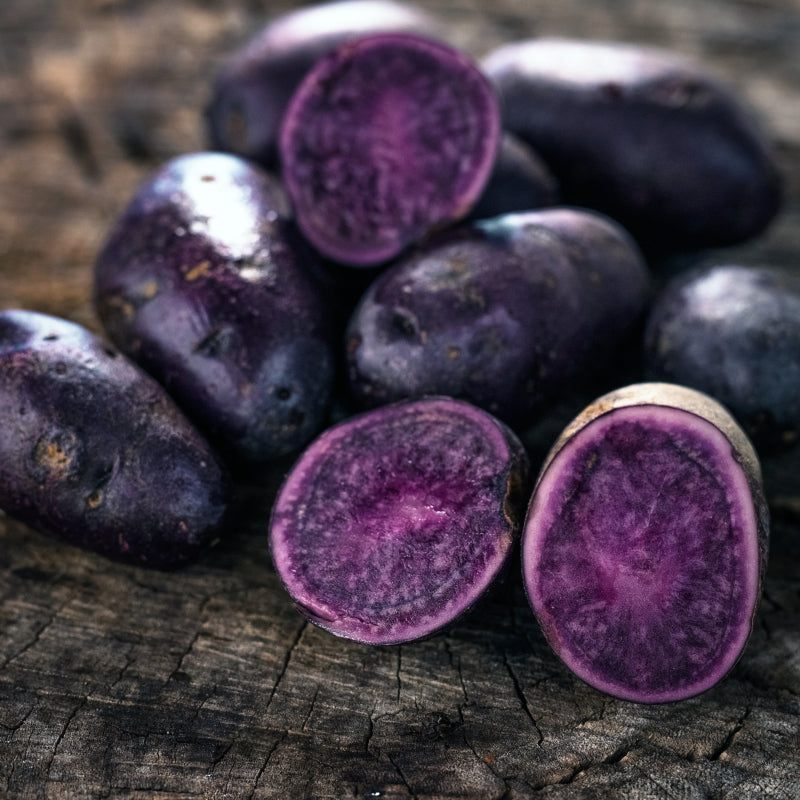 Seed Potatoes, Violet Queen