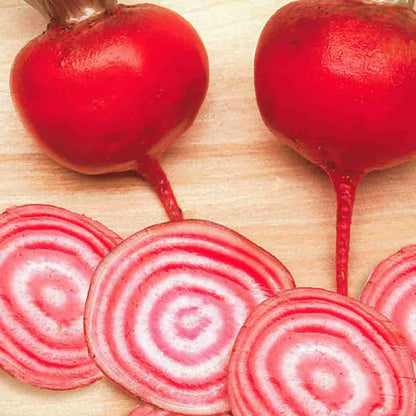 A vibrant red choice of McKenzie Seeds Beet Dolce Di Chioggia Vegetables
