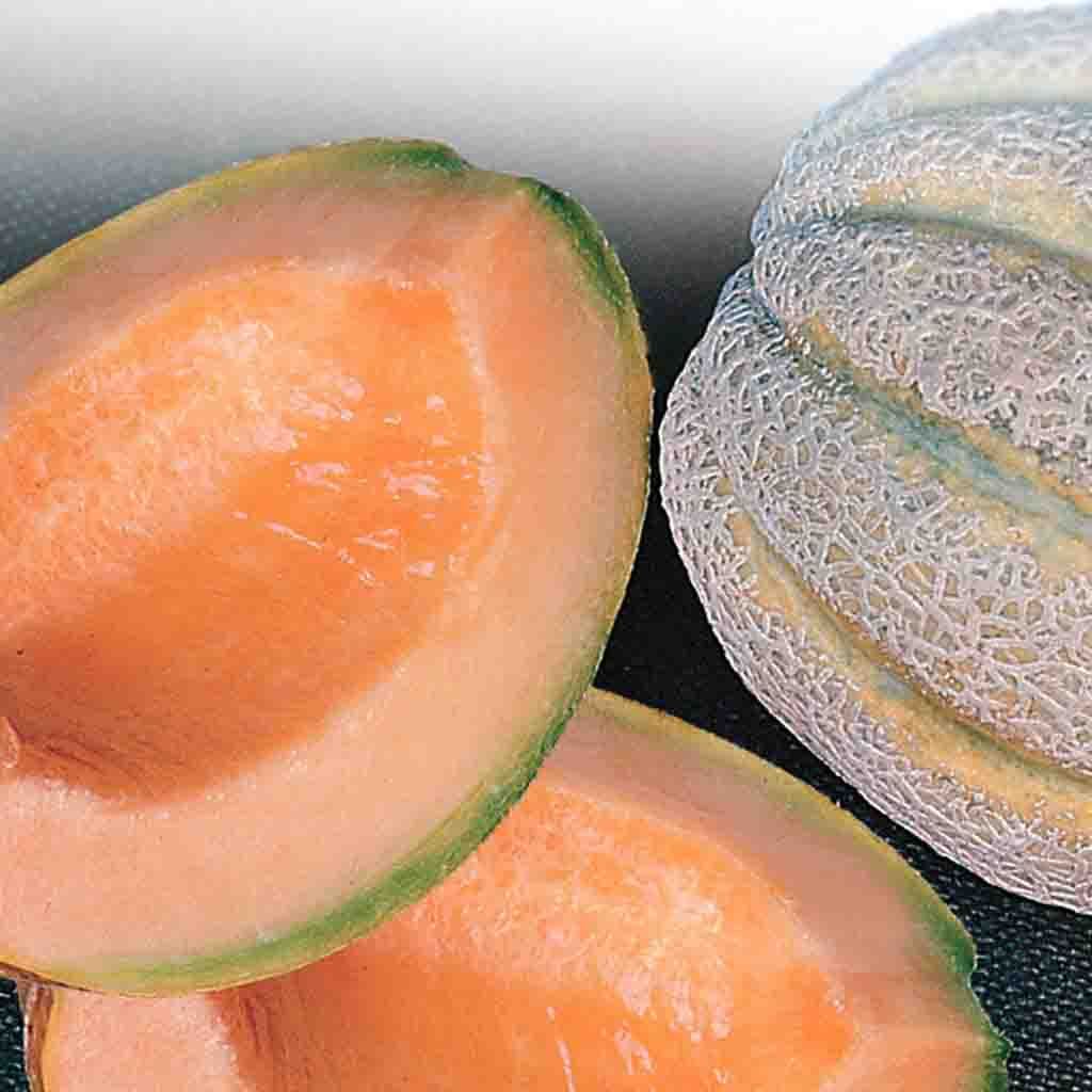 Grow an absolutely appetizing Cantaloupe Delicious with McKenzie Seeds 