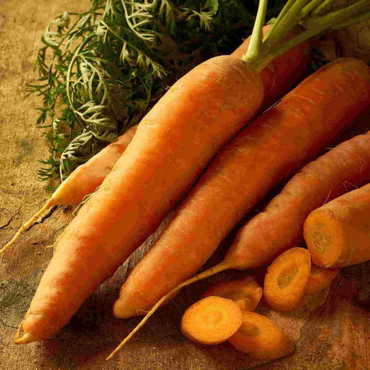 A bundle of dark orange McKenzie Seeds Carrot Scarlet Nantes Vegetables