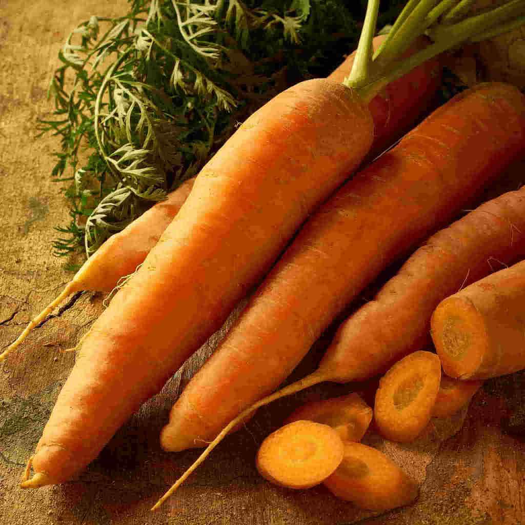 A bundle of dark orange McKenzie Seeds Carrot Scarlet Nantes Organic Vegetables