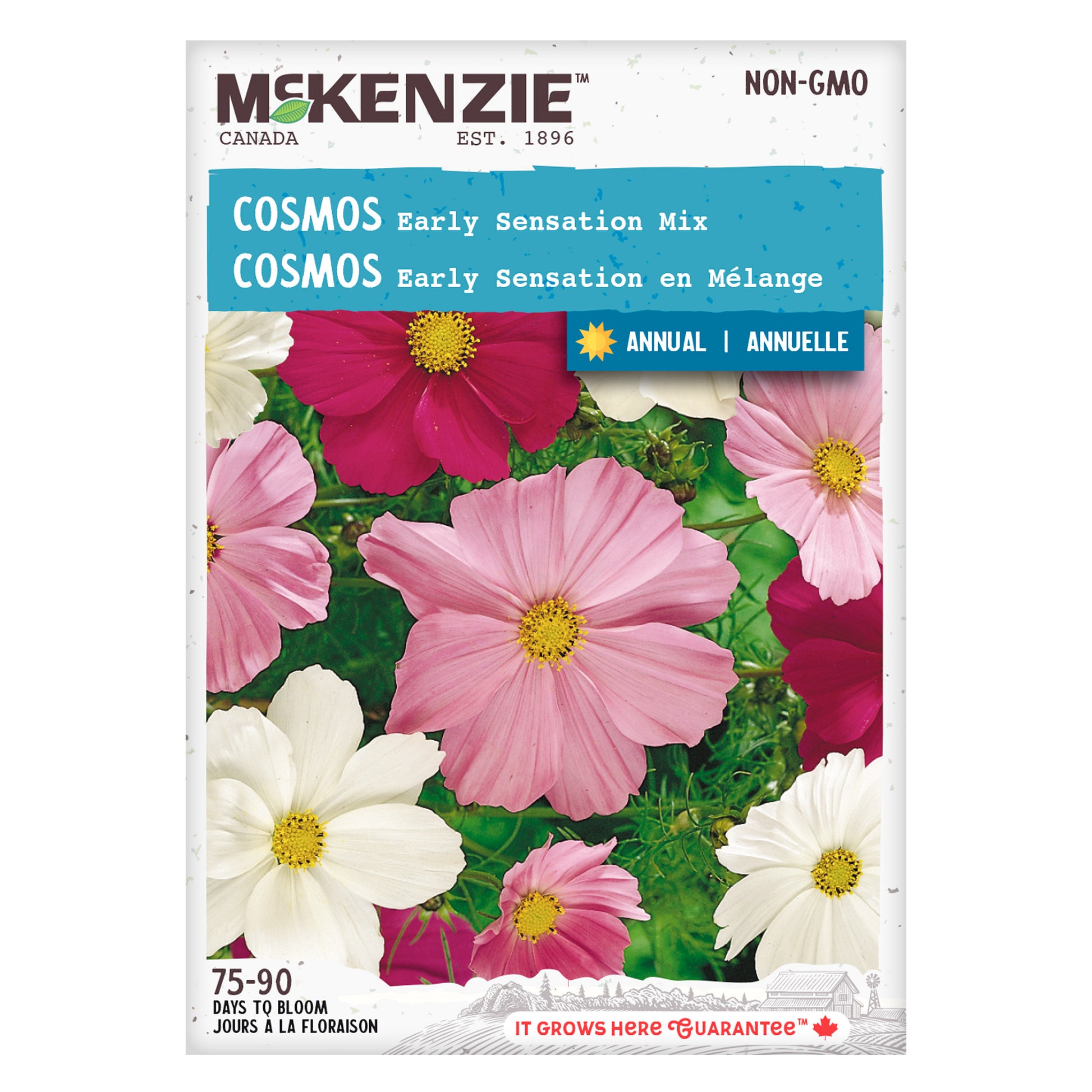 Front of McKenzie Seeds Cosmos flower seed packet showing colorful cosmos blooms and brand logo.