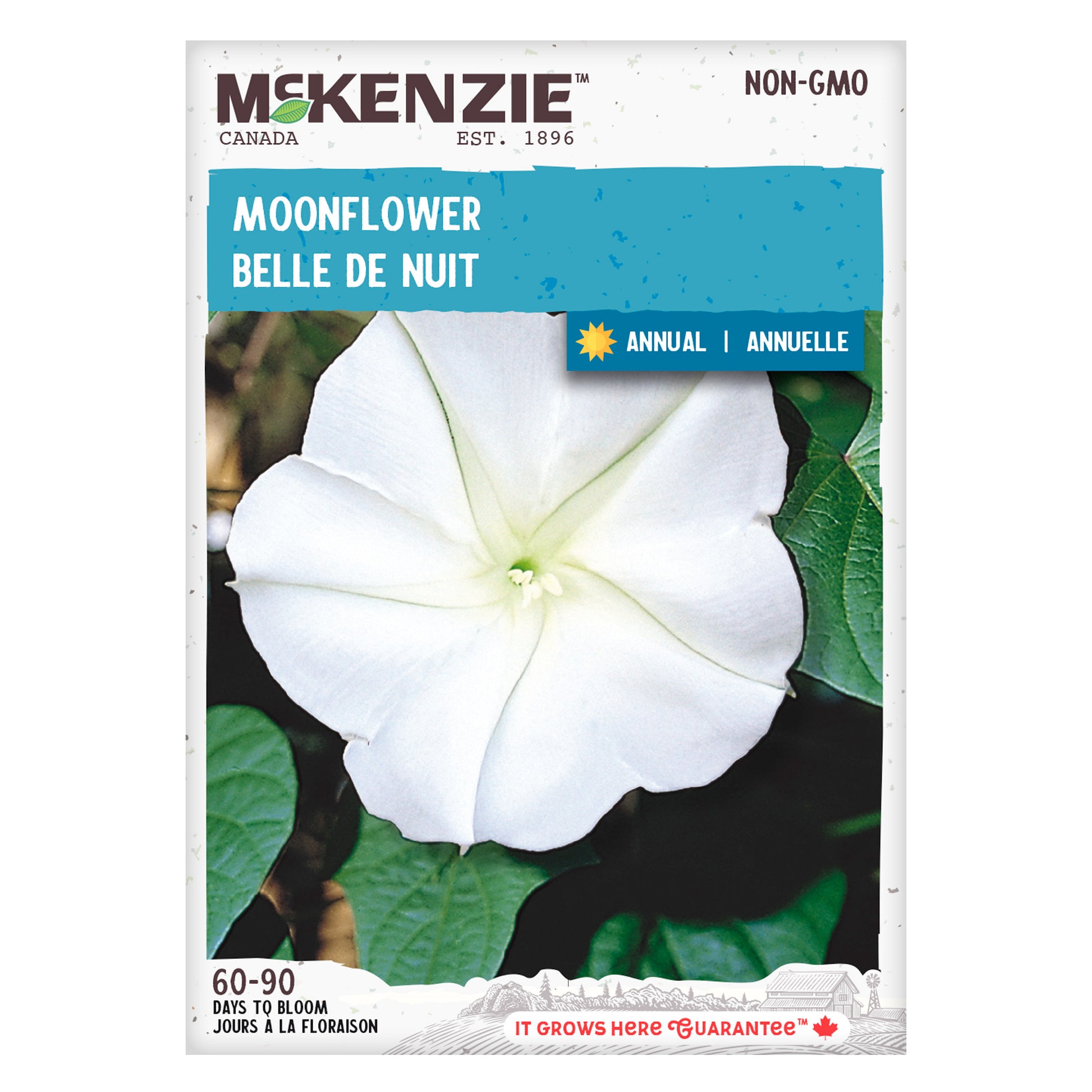 moon flower seed Buy Moonflower Flower Seed Online