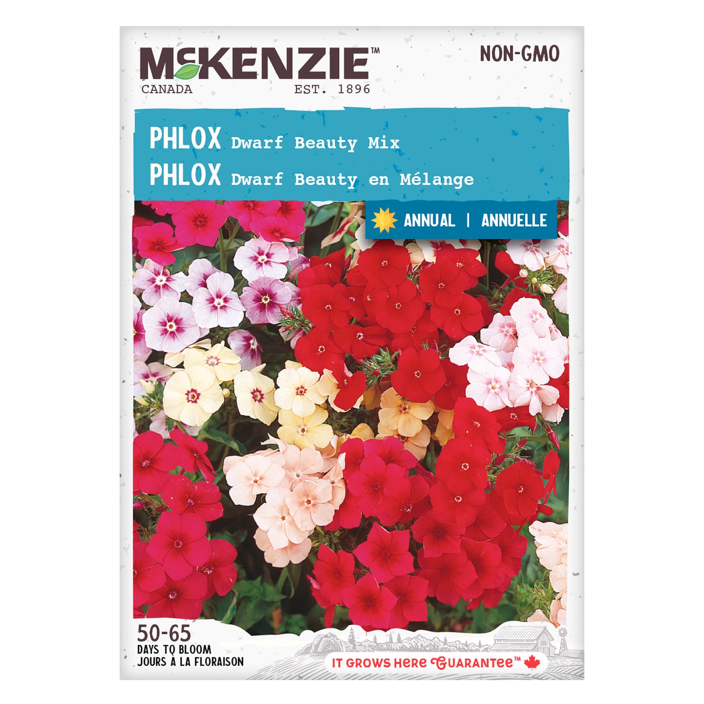 Front of McKenzie Seeds phlox seed packet showing variety name and brand logo