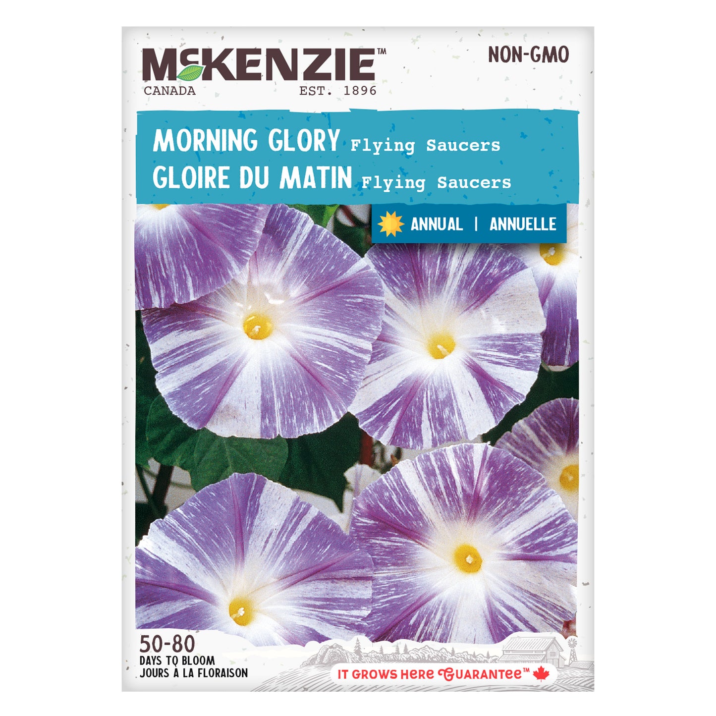 Front of McKenzie Seeds Morning Glory seed packet showing brand logo