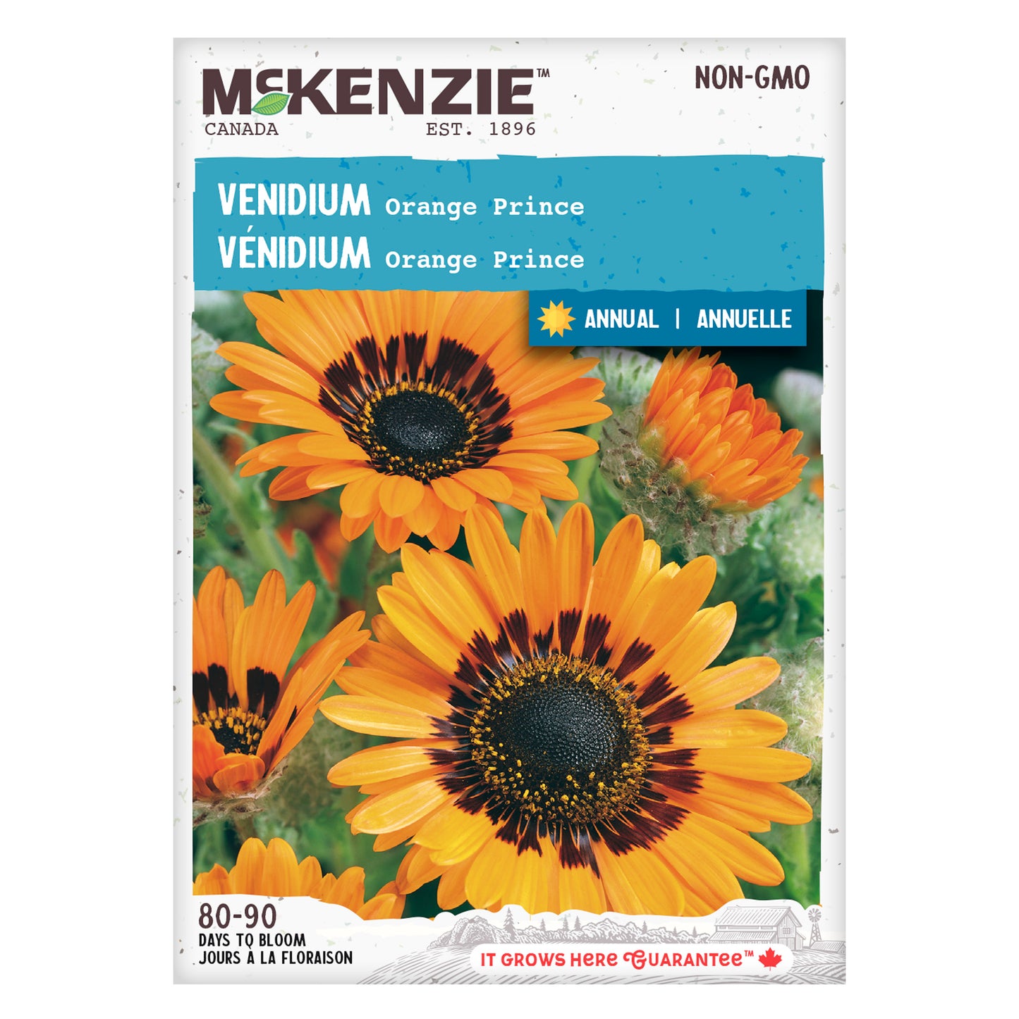 Venidium Seeds, Orange Prince