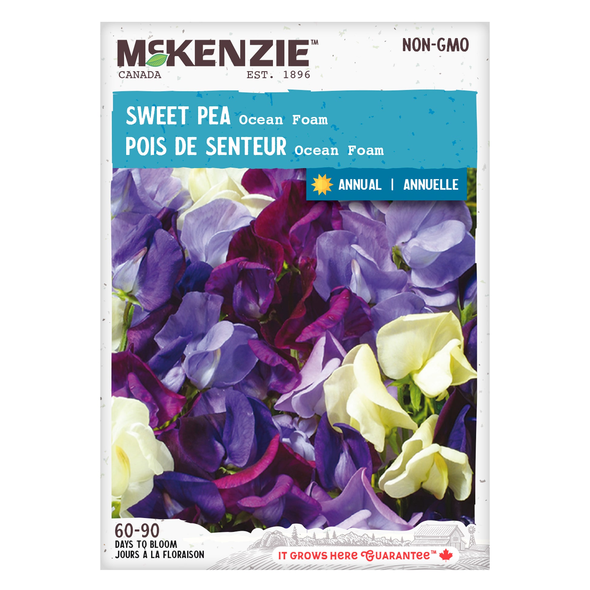 sweet pea flower seeds for sale Buy Sweet Pea Ocean Foam Flower Seed