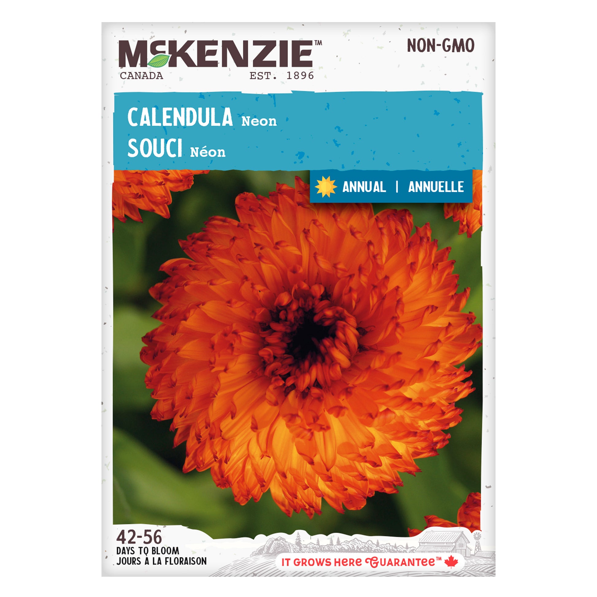 Front packaging of McKenzie Seeds Calendula Neon